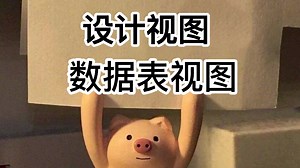 设计视图与数据表视图