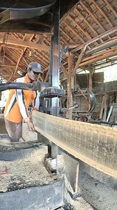 6.4K views · 235 reactions | Sawmill teak wood | Sawmill & Woodworking | Facebook