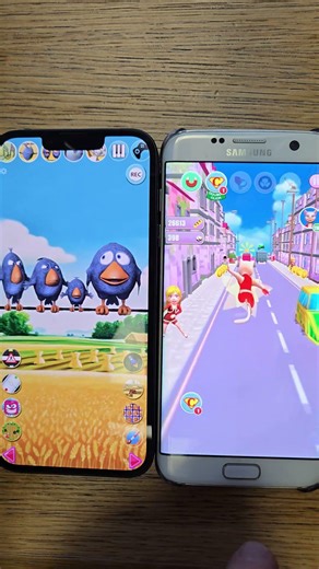 Talking Birds React To Cat Lea Run 😂