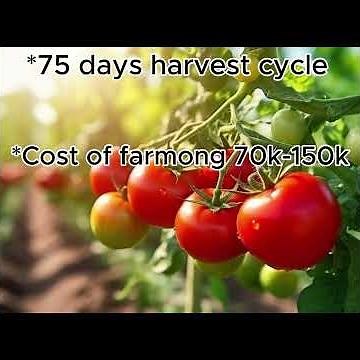 Most Profitable Crops to Farm in Kenya