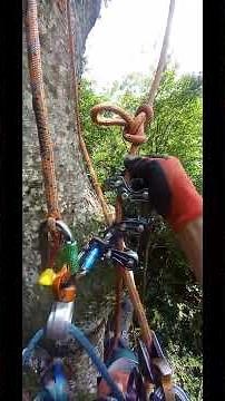 Notch Rope Runner Pro як перейти з DRT на SRT #notch #cmi #husqvarna #treeclimbing #treeremoval