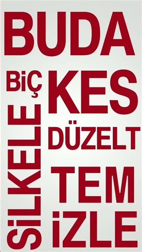 Tek Makine Tüm Bahçe Çim Biçme Dal Budama Düzeltme Kesme