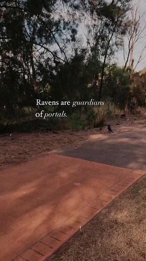 Forrest Yoga on Reels