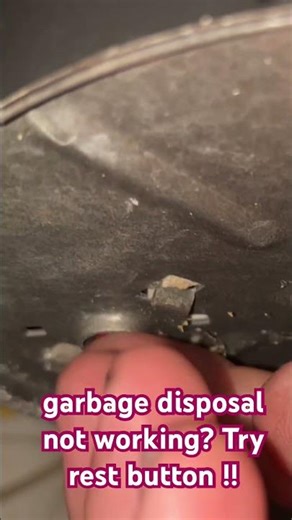 Garbage disposal not working, most have a RESET BUTTON!! Try it !! #garbagedisposal #lifehacks