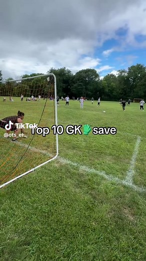 Top 10 Incredible Goalie Saves in Soccer