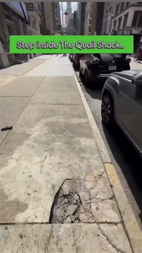 ✨ Step inside The Quail Shack… and you’ll see why locals call this place a little bit magical. Fresh-baked desserts, homemade meals, and everything cooked with our own farm-fresh quail eggs — that’s the heart of our kitchen. 💛🥚 No quail on the menu. Just real food, made from scratch, by people who love feeding this community. Come say hi, grab a bite, and feel the magic for yourself. 📍 Downtown Cleburne ⏰ Thurs–Mon 8–3 | Saturdays open till 7pm #CleburneTX #CleburneEats #TheQuailShack #Homema