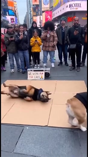 Ryno on Instagram: "Ryno - Body Body 😎👇🏻 https://www.traxsource.com/title/2625155/body-body #ryno #ryanrauert #bodybody #movesoundsmusic #housemusic"