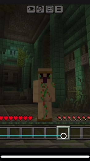Meet my new Minecraft skin