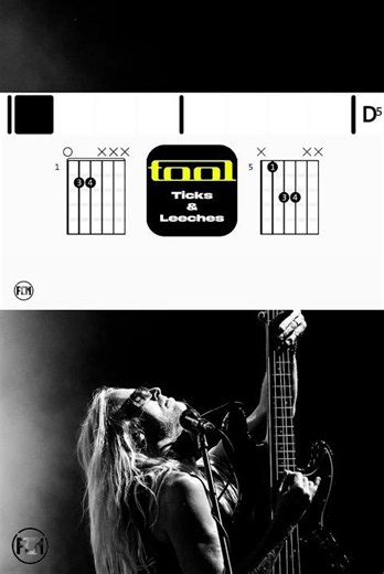 TOOL - Ticks & Leeches • Short | Scrolling Guitar Chords & Lyrics