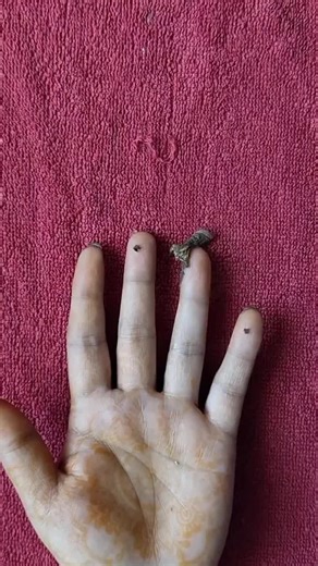 Mastering Gboard Clipboard Features