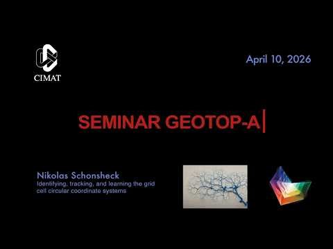 GEOTOP-A | Nikolas Schonsheck | Identifying, tracking, and learning the grid cell circular coordi...