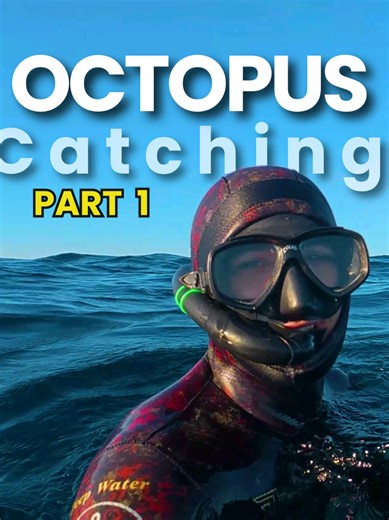 صيد الأخطبوط في البحر الأبيض المتوسط