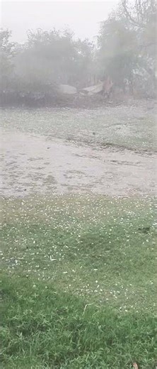 barf Bari in Gorakhpur