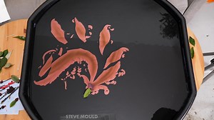 3.7M views · 2.7K reactions | Who knew putting ink on a leaf and then putting it into water will make this happen. Pretty cool if you ask me, but why is this? | Steve Mould | Facebook