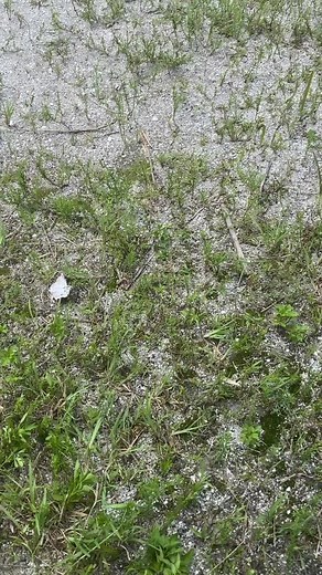 Mark Mclean (@markmclean0)’s videos with original sound - Mark Mclean