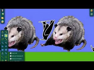 Super Random Stuff: Episode 10