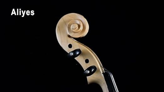 What a Beautiful Artistic Violin