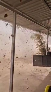 Dust devil tornado seen spinning across cassava farm