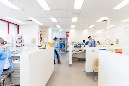 Research at Sydney Dental School