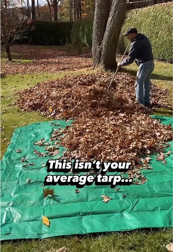 Weather-Resistant 9' x 9' Tarp for Yard Cleanup