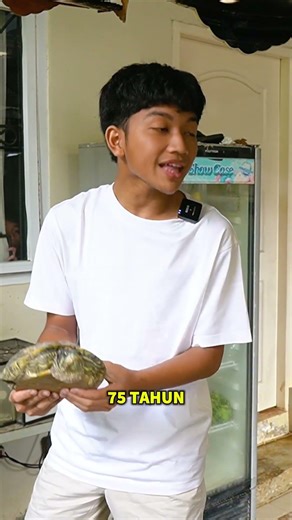 HAH KURA-KURA BRAZIL SAMPE 75 TAHUN?!! #iqbalizda #reptile #tortoise #redearedslider #hewan