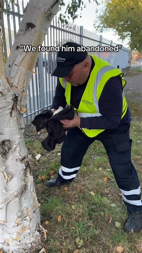 28K views · 142 reactions | The fourth emergency service #Milkman | Milk & More | Facebook