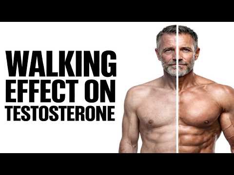 THE POWER OF TESTOSTERONE that all Men Ignore.