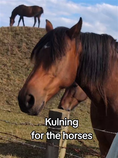 Enchanting Kulning for Horses