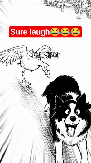 animal fails #cat #dog #animals #shorts