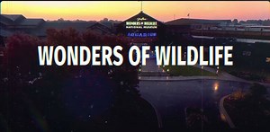 2.2K views · 48 reactions | The Wonders of Wildlife National Museum...