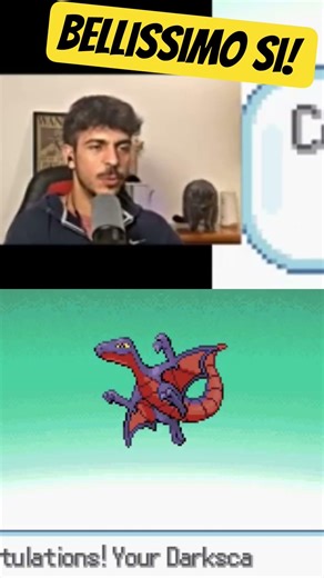 DELTA TREECKO SI EVOLVE! #pokemon #pokemonita #fangame #pokemondecay #deltapokemon #evolution