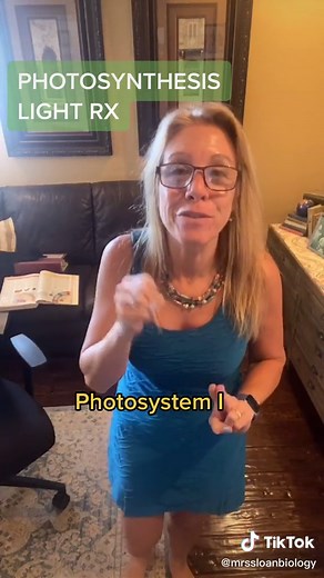 Photosynthesis Process Explained: Understanding Light, Energy, and Plants