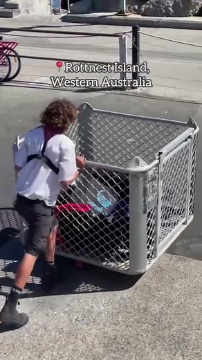 Hitting the beach this Spring Break? Pack a Sunchill and take the fun into the Sea! You can even use the bag itself as an anchor, just throw some sand inside it and tie it off to one of the stainless D-rings. Easy peasy! 👍👍 #springbreak #beach #beachlife #beachbound #floaty #floatparty #sandbar #partyideas #poolparty #sandbarlife #chillvibes #relaxing | Sunchill