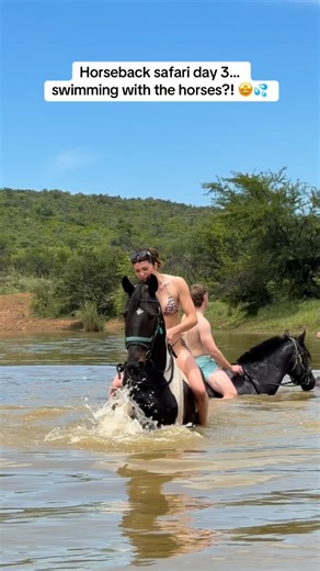 𝐏𝐡𝐨𝐞𝐛𝐞∙𝐒𝐜𝐡𝐨𝐥𝐭𝐞𝐧𝐬 on Instagram: "Swimming with horses?! 🤩 @africanhorsesafaris Poor Sam really got thrown in at the deep end 😆 #horse #horses #equestrian #horsesofinstagram #equestrianlife #equestrianstyle #dressage #dressagehorse #dressagerider #dressur #dressurpferd #dressurpony #pferd #cavallo #love #lesson #instagood #trending #reels #reelsinstagram #explore #explorepage #trending"