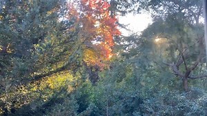 25K views · 975 reactions | Homemade time lapse video with Live Ambient 10. | Moby | Facebook