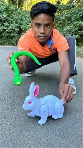 2Ta Naya Rc Snake 🐍 And Remote Wala Rabbit Unboxing 😳