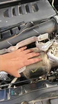 DOC DPF and SCR in diesel engine #dpf #dieselengine