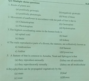 Q.1 Multiple choice questions 1. Roots of plants are:... | Filo