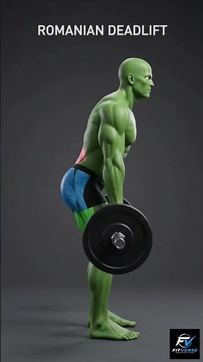 3 Best Lower Back Exercises for a Stronger Spine | Build Lower Back Strength
