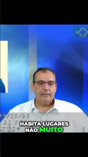 Descubra se você tem escabiose e como se livrar desse incômodo ácaro