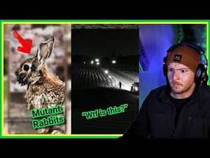 CRAZY videos that will BLOW your mind!