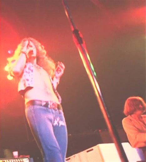 Led Zeppelin: Estarway Merch and 2026 Updates