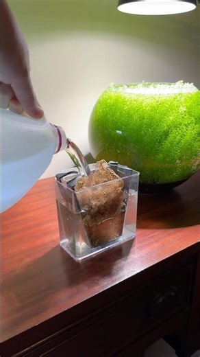 Cleaning a fluval aquaclear power filter