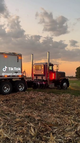 Exploring Wilson Trailers and Their Hopper Design