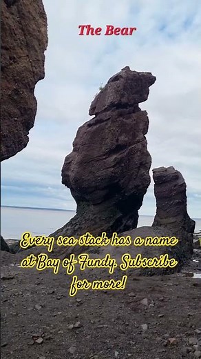BAY OF FUNDY #newbrunswickcanada #nature #sea #mustsee #popular #tripadvisor #wondersoftheworld #yt