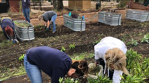 Texas Mutual Insurance Employees aid in Community First! Village project