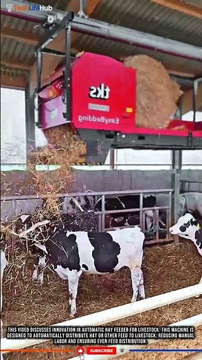 Innovation Technology Livestock: Automatic Hay Feeder, Efficient & Even Feed.