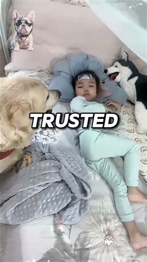 Dog Protects Children from Danger – A True Hero in Action!