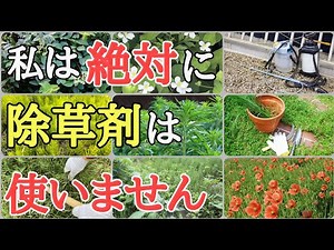 雑草対策｜除草剤不要で雑草を生えなくする方法6選
