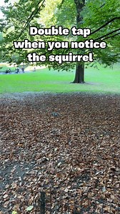 Look carefully | Original Videos from Adrian Lomeli